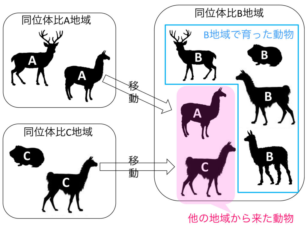 リャマとアルパカ アンデス文明動物飼育物語 同位体環境学がえがく世界